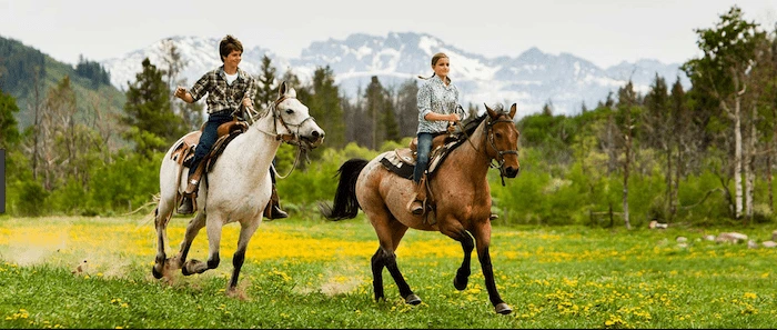 Confident plus-size woman riding Windsor a horse through a field with a smile on her face.